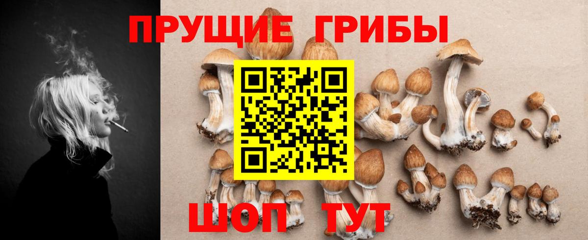 Галлюциногенные грибы прущие грибы Егорьевск